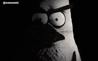 Angry Stare GIF