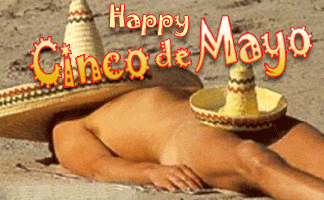happy cinco de mayo GIF