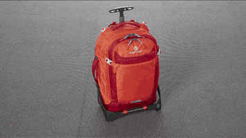 Container store backpack sales