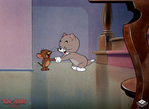 nibbles tom and jerry gif