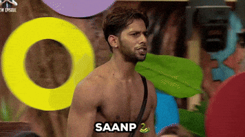 Bob Baseer GIF