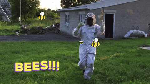 Worldbeeday Gifs Get The Best Gif On Giphy