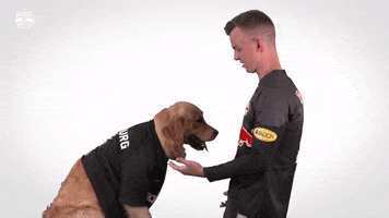 Best Friend Sport GIF by FC Red Bull Salzburg