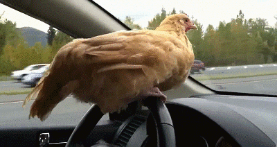 ovládání vozidla GIF