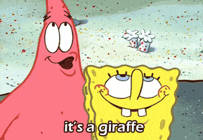 SpongeBob gif. Patrick and SpongeBob look up in amazement at a bubble shaped like an elephant that is floating up into the sky. Patrick says, “It’s a giraffe.”