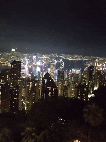 Insurance GIF