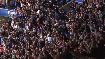 Everton Fc Fans GIF by Everton Football Club