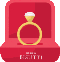 wedding bride GIF by Grupo Bisutti