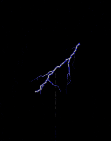 Fell For It Again GIF