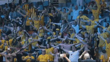 intercontinental cup winners GIF by AEK BC
