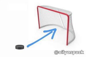 Hockey Goalie GIF