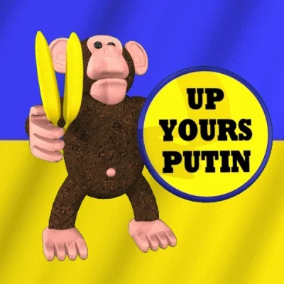 Vladimir Putin Russia GIF