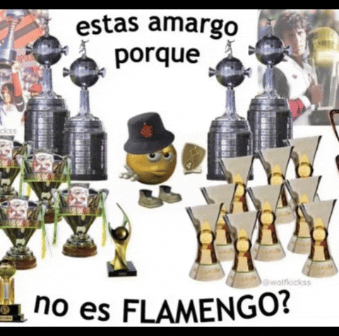 Flamengo GIF