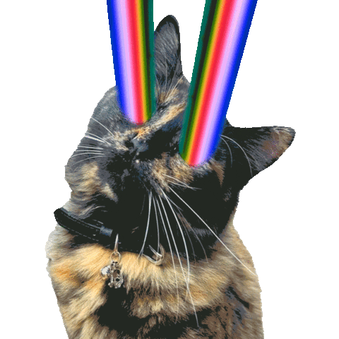 Rainbow Cats Sticker