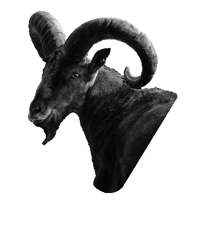 G.O.A.T. Fuel Sticker