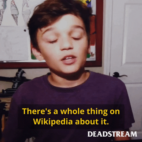 Can you guess which pages were Wikipedia’s most viewed this year? - 106