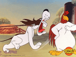 mad foghorn leghorn GIF by Looney Tunes