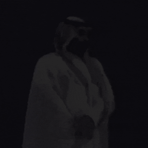 Saudi Arabia Mbs GIF