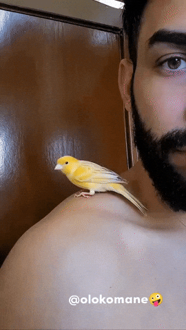 Art Love GIF
