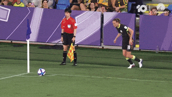 Alanna Kennedy Goal GIF by Football Australia