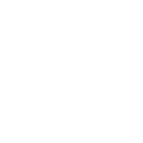 LVLY Sticker