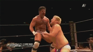 wrestling this move is called the dick flex flip GIF by Digg