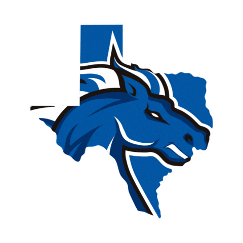 Mesquite ISD Sticker