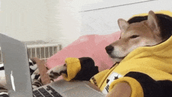 Dogs Computer GIF