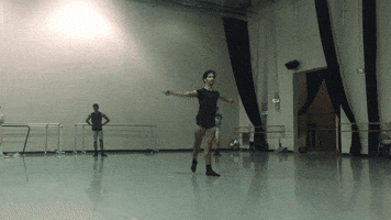 Ballet  GIF