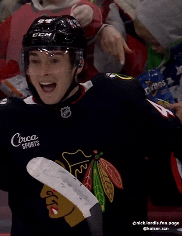Nhl Blackhawks GIF