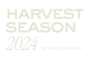 Sticker by VicenteFariaVinhos