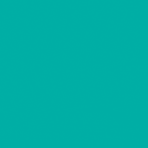 Ths GIF by TrustedHousesitters