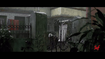 Raincoat GIF