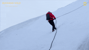Falling Over Nat Geo GIF by National Geographic Channel