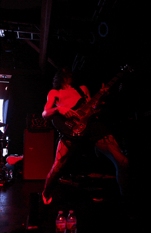 Excited Foxy Shazam GIF by wade.photo