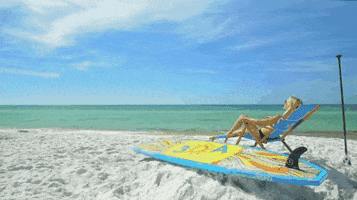 YOLO Board GIF