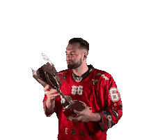 HC ORLI ZNOJMO Sticker