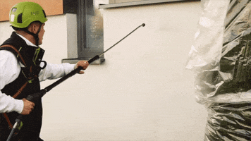 TAFF by WANDWERK GIF