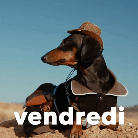 French Vendredi GIF by Sealed With A GIF