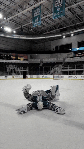 San Jose Hockey GIF by San Jose Barracuda