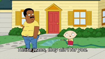 griffins quahog GIF by Family Guy
