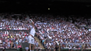 smash kevin anderson GIF by Wimbledon