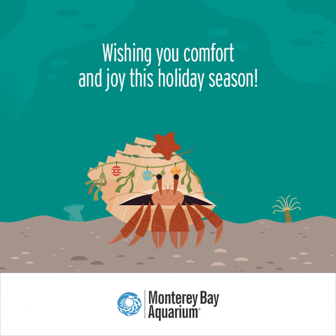 holiday cards GIF by Monterey Bay Aquarium