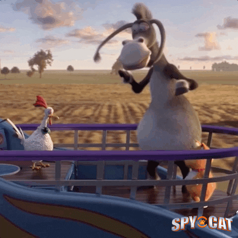 Spy-cat GIFs - Get the best GIF on GIPHY