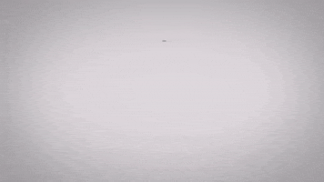 GIF by Atos Jiujitsu