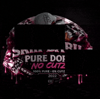 Skii GIF by DollBabyCouture