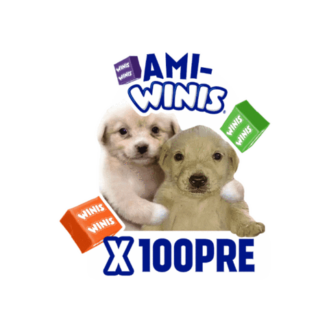 Winis MX Sticker