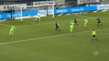 Football Sport GIF by VfL Wolfsburg
