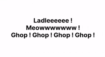 Meow Lad GIF