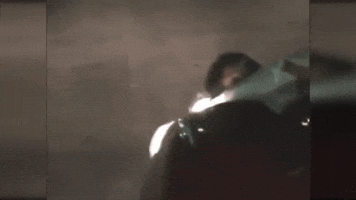 paolovaldivia  GIF